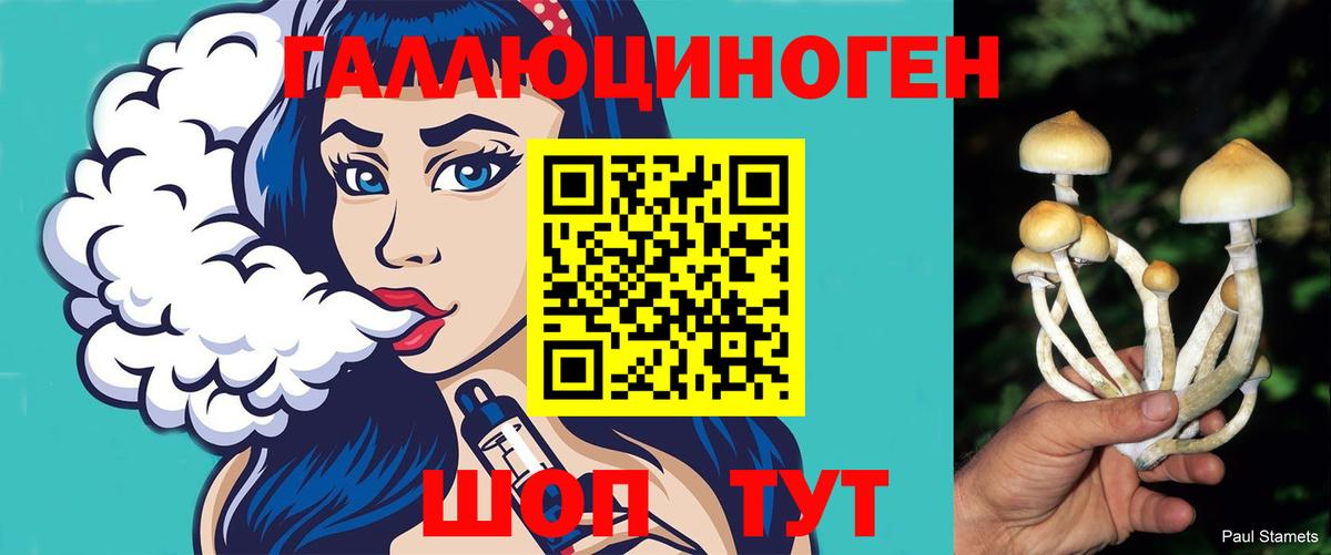 Галлюциногенные грибы прущие грибы  Вход с VPN  Выборг 
